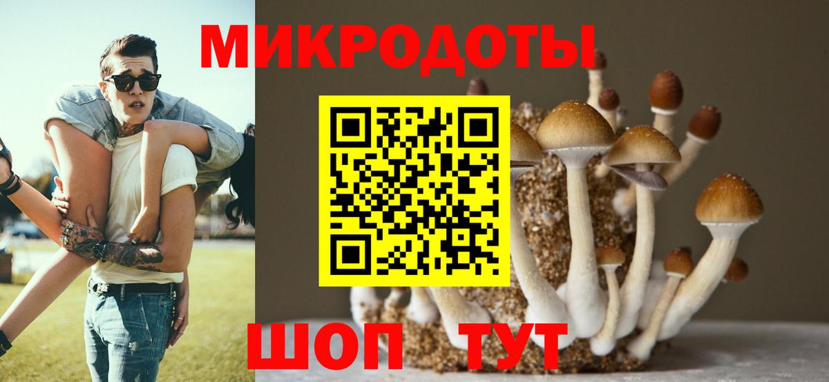 Галлюциногенные грибы ЛСД Торжок