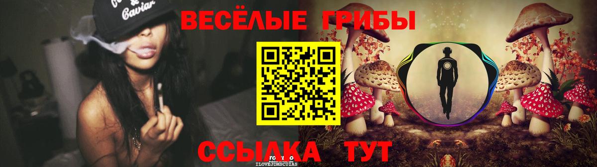 Галлюциногенные грибы мухоморы  Вход с VPN  наркота  Торжок  Псилоцибиновые грибы Cubensis 